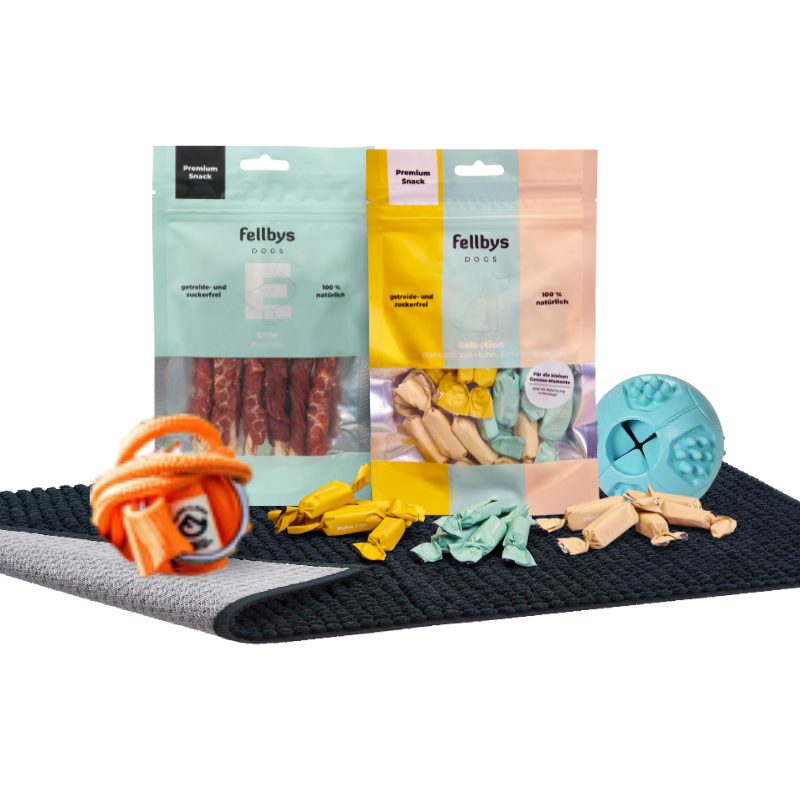 Black November Hunde Geschenkbox Premium