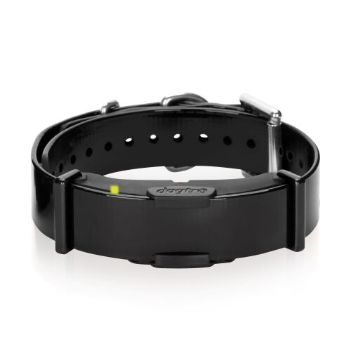 Dogtra Zusatzhalsband für ARC 800