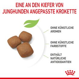 ROYAL CANIN Sehr Gro&szlig;e Hunde Trockenfutter Giant Junior