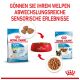 ROYAL CANIN Sehr Kleine Hunde Trockenfutter X-Small Welpen