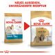 ROYAL CANIN Shih Tzu Trockenfutter Adult 7,5 Kg