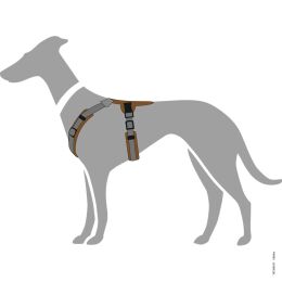 Hunter Hunde Geschirr Maldon Braun/Grau 37-53 cm/XS-S