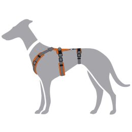 Hunter Hunde Sicherheitsgeschirr Maldon Orange/Grau 53-71 cm/M