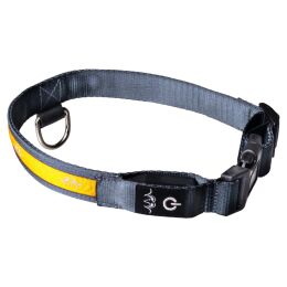 Blaser Hunde Halsband LED