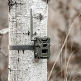 SPYPOINT Wildkamera Flex E-36 Twin-Pack