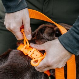 HP&amp;G Trainingsleine mit zwei Karabinern 170cm Orange