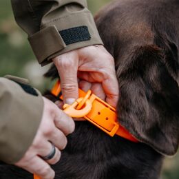 HP&G Schleppleine mit Karabiner 500cm Orange