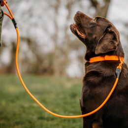 HP&G Wasserfeste Leine mit Karabiner 130cm Orange