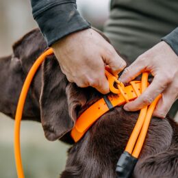 HP&G Wasserfeste Leine mit Karabiner 130cm Orange