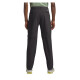 Jack Wolfskin Herren Hose Pico Trail Zip Off Phamtom