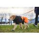 Non-stop Dogwear Hundemantel Glacier Dog Jacket 2.0 Schwarz/Orange 45